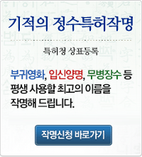 정수특허작명